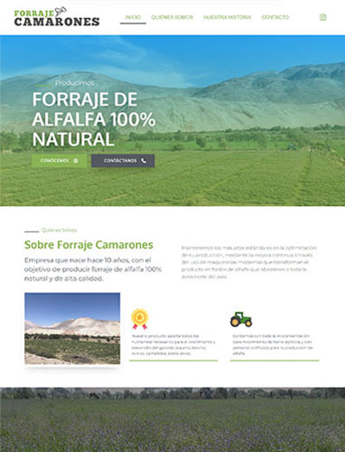 página web