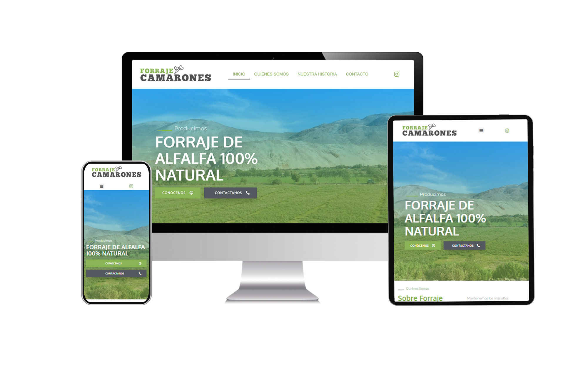 página web
