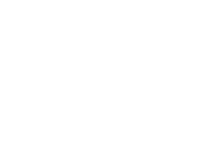fosis-b.png