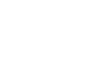 prochile-b.png